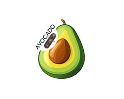 Avocado Info